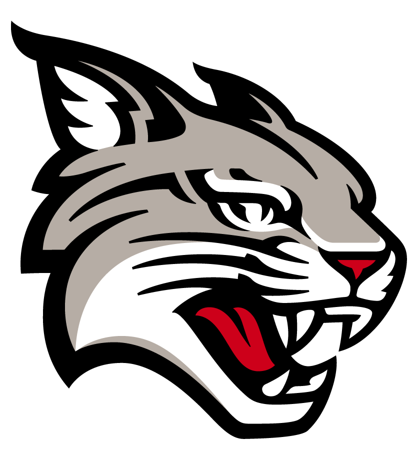 Davidson Wildcats 2023-Pres Primary Logo diy iron on heat transfer